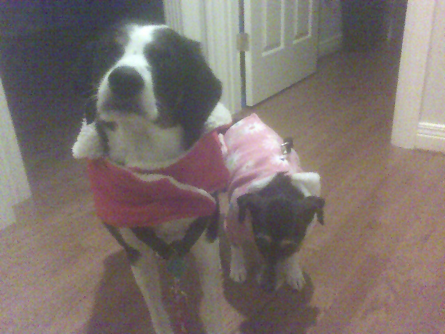 I think I look great in my coat