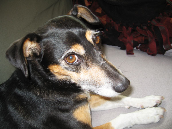 Heck yeah I'd do it again!