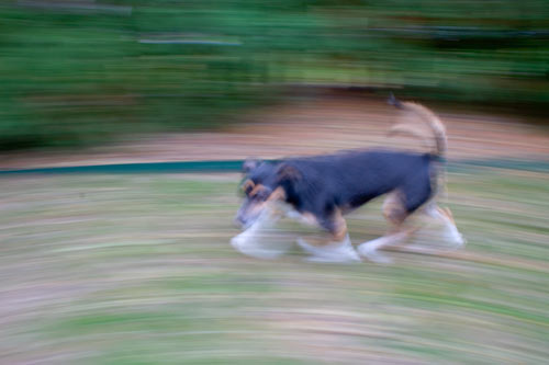 Well, it didn't hurt as much as a bath.