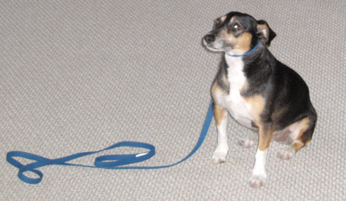 Now I have to stay put when told